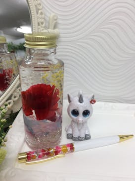 ずこうしつ〜sugamo〜に投稿された画像（2019/8/24）