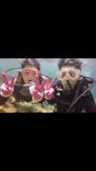 武藤潜水に投稿された画像（2019/8/24）