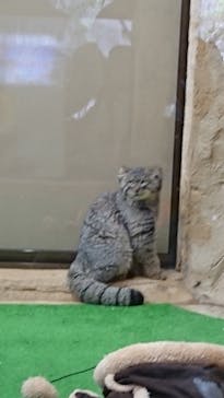 那須どうぶつ王国に投稿された画像（2019/8/24）