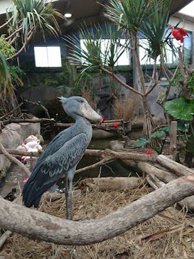 那須どうぶつ王国に投稿された画像（2019/8/24）