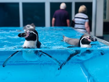 鳥羽水族館に投稿された画像（2019/8/24）