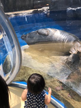鳥羽水族館に投稿された画像（2019/8/24）