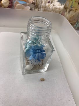 ずこうしつ〜sugamo〜に投稿された画像（2019/8/25）