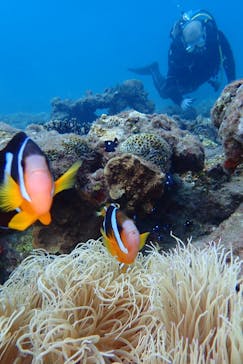 屋久島自然案内に投稿された画像（2019/8/25）