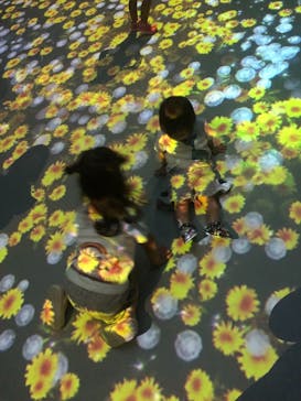 NIFREL（ニフレル）に投稿された画像（2019/8/25）