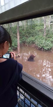 サホロリゾート　ベア･マウンテンに投稿された画像（2019/8/25）