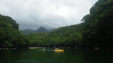 屋久島ガイドクラブに投稿された画像（2019/8/26）