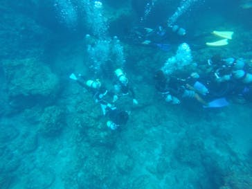 武藤潜水に投稿された画像（2019/8/26）