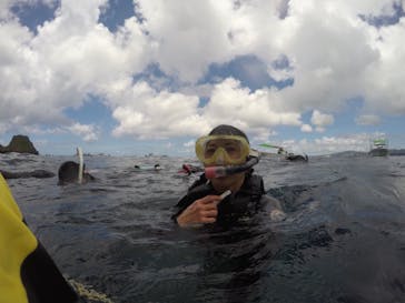 武藤潜水に投稿された画像（2019/8/26）