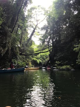 カヌーリゾートたまよどに投稿された画像（2019/8/26）