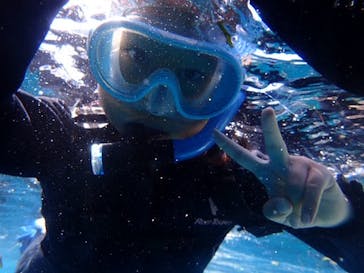 ダイビングショップ Sea Free（シーフリー）に投稿された画像（2019/8/29）