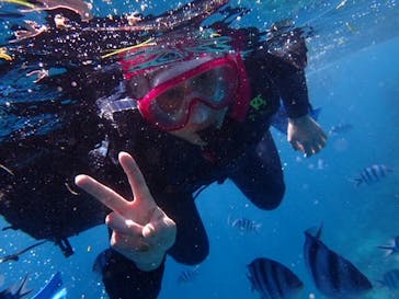 ダイビングショップ Sea Free（シーフリー）に投稿された画像（2019/8/29）