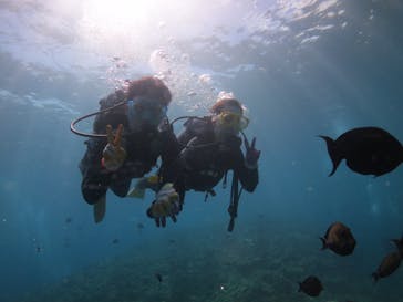 ドロップイン 沖縄に投稿された画像（2019/9/1）