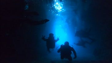 武藤潜水に投稿された画像（2019/9/1）