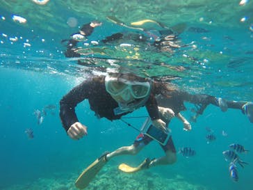 武藤潜水に投稿された画像（2019/9/1）