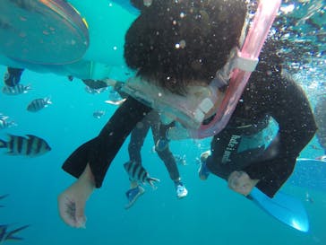 武藤潜水に投稿された画像（2019/9/1）