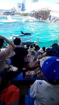 鴨川シーワールドに投稿された画像（2019/9/1）