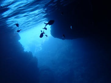 ダイビングショップ Sea Free（シーフリー）に投稿された画像（2019/9/2）