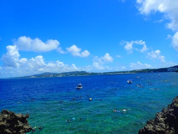 ダイビングショップ Sea Free（シーフリー）に投稿された画像（2019/9/2）