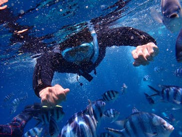 ダイビングショップ Sea Free（シーフリー）に投稿された画像（2019/9/2）