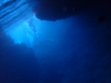 ダイビングショップ Sea Free（シーフリー）に投稿された画像（2019/9/2）