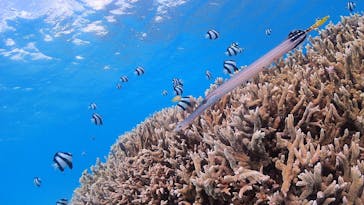 アクアドロップに投稿された画像（2019/9/2）