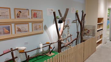 Moff animal cafe MARKIS 福岡ももち店に投稿された画像（2019/9/3）