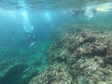 武藤潜水に投稿された画像（2019/9/3）