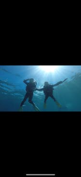 武藤潜水に投稿された画像（2019/9/4）