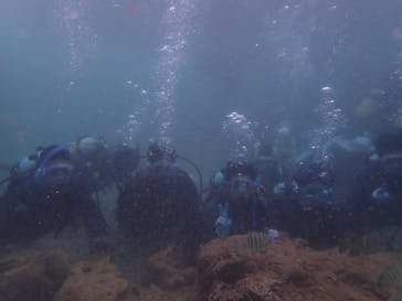 ダイビングショップ Sea Free（シーフリー）に投稿された画像（2019/9/5）