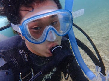 ダイビングショップ Sea Free（シーフリー）に投稿された画像（2019/9/5）