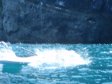 SUP&WIND波笑風に投稿された画像（2019/9/3）