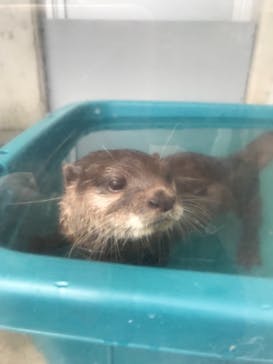 京急油壺マリンパークに投稿された画像（2019/9/5）