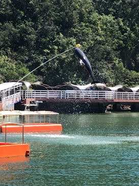 下田海中水族館に投稿された画像（2019/9/5）