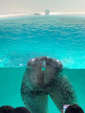 下田海中水族館に投稿された画像（2019/9/5）