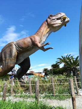 伊豆ぐらんぱる公園に投稿された画像（2019/9/5）