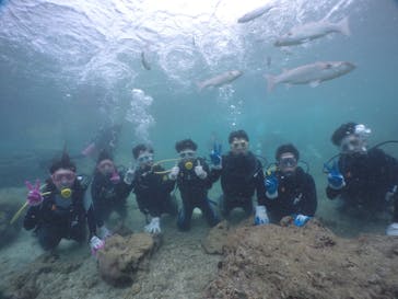 武藤潜水に投稿された画像（2019/9/8）