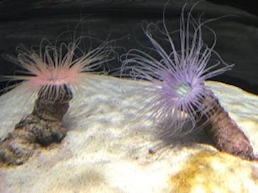 NIFREL（ニフレル）に投稿された画像（2019/9/9）