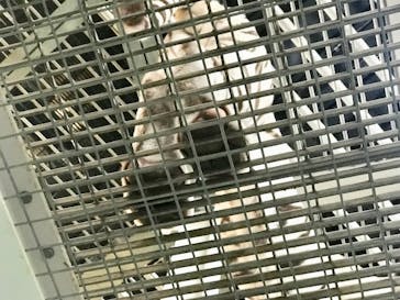 NIFREL（ニフレル）に投稿された画像（2019/9/9）