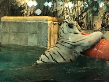 NIFREL（ニフレル）に投稿された画像（2019/9/9）