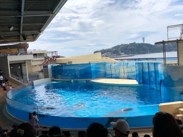 新江ノ島水族館に投稿された画像（2019/9/9）