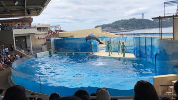 新江ノ島水族館に投稿された画像（2019/9/9）