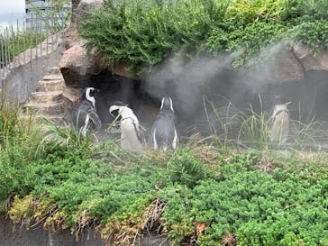 サンシャイン水族館に投稿された画像（2019/9/10）