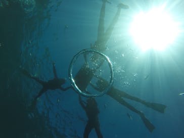 武藤潜水に投稿された画像（2019/9/10）