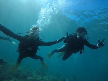 武藤潜水に投稿された画像（2019/9/10）