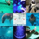 マリンワールド海の中道に投稿された画像（2019/9/10）