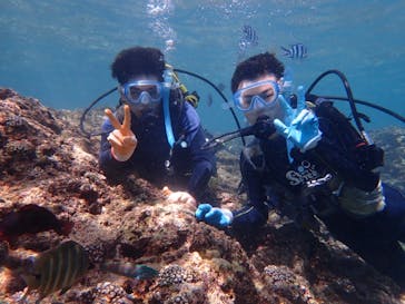 ダイビングショップ Sea Free（シーフリー）に投稿された画像（2019/9/11）