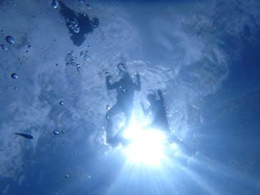 diving&workshop IHANASHI（ダイビングアンドワークショップイハナシ）に投稿された画像（2019/9/11）