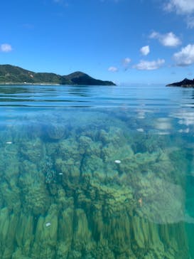 奄美ナイトツアーサービスに投稿された画像（2019/9/11）