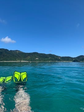 奄美ナイトツアーサービスに投稿された画像（2019/9/11）